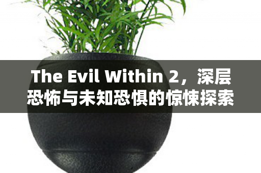 The Evil Within 2,深层恐怖与未知恐惧的惊悚探索 The Evil Within 2,深层恐怖与未知恐惧的惊悚探索