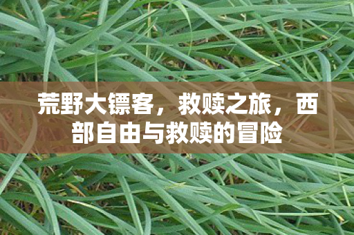 荒野大镖客，救赎之旅，西部自由与救赎的冒险