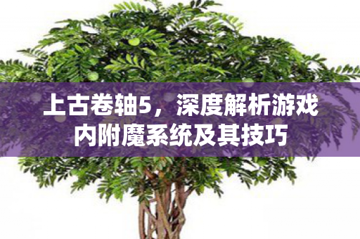 深度解析游戏内附魔系统及其技巧图片