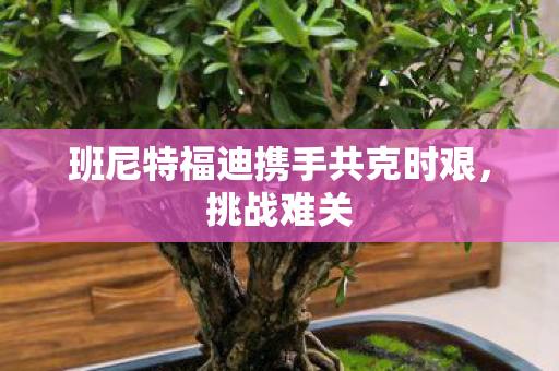 班尼特福迪携手共克时艰,挑战难关 班尼特福迪携手共克时艰,挑战难关