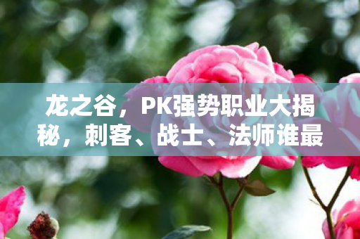 龙之谷，PK强势职业大揭秘，刺客、战士、法师谁最强？