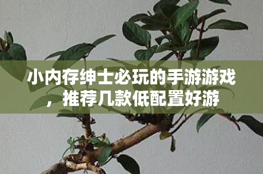 小内存绅士必玩的手游游戏,推荐几款低配置好游 小内存绅士必玩的手游游戏,推荐几款低配置好游
