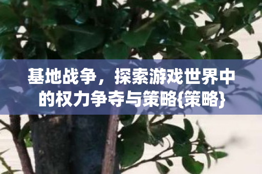 基地战争,探索游戏世界中的权力争夺与策略{策略} 基地战争,探索游戏世界中的权力争夺与策略{策略}