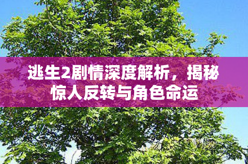 逃生2剧情深度解析，揭秘惊人反转与角色命运