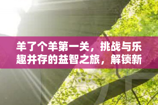 羊了个羊第一关，挑战与乐趣并存的益智之旅，解锁新关卡！