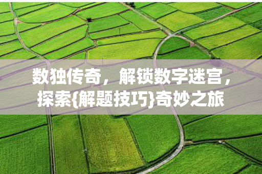 数独传奇，解锁数字迷宫，探索{解题技巧}奇妙之旅