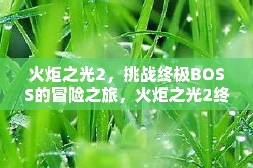 火炬之光2,挑战终极BOSS的冒险之旅,火炬之光2终极BOSS挑战冒险之旅 火炬之光2,挑战终极BOSS的冒险之旅,火炬之光2终极BOSS挑战冒险之旅