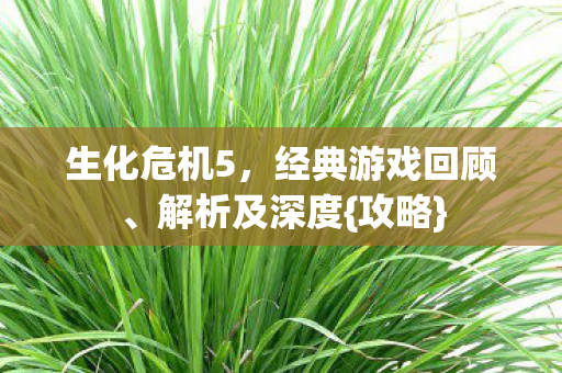 经典游戏回顾图片