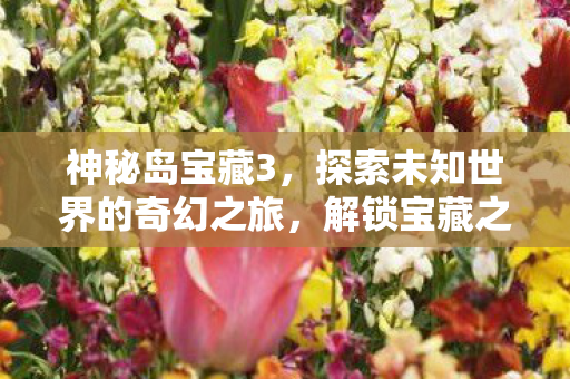 神秘岛宝藏3,探索未知世界的奇幻之旅,解锁宝藏之谜 神秘岛宝藏3,探索未知世界的奇幻之旅,解锁宝藏之谜