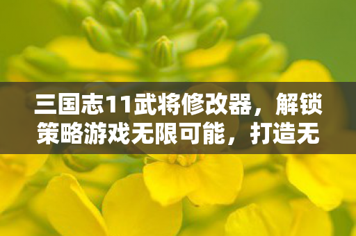 三国志11武将修改器，解锁策略游戏无限可能，打造无敌军团！