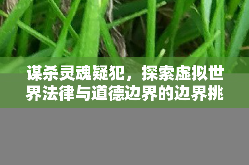 谋杀灵魂疑犯,探索虚拟世界法律与道德边界的边界挑战 谋杀灵魂疑犯,探索虚拟世界法律与道德边界的边界挑战