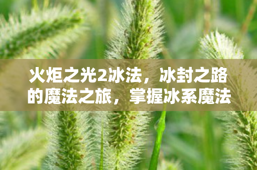 冰封之路的魔法之旅图片