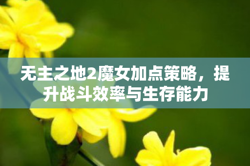 无主之地2魔女加点策略，提升战斗效率与生存能力