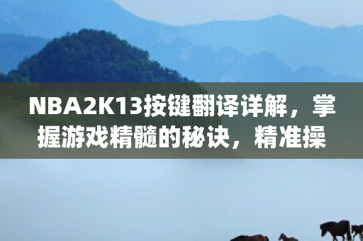 NBA2K13按键翻译详解，掌握游戏精髓的秘诀，精准操作{下拉词}