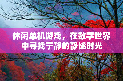 在数字世界中寻找宁静的静谧时光图片