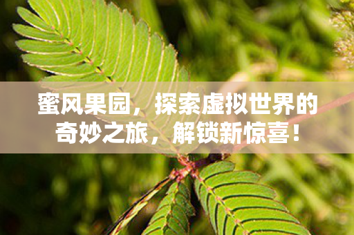 探索虚拟世界的奇妙之旅图片
