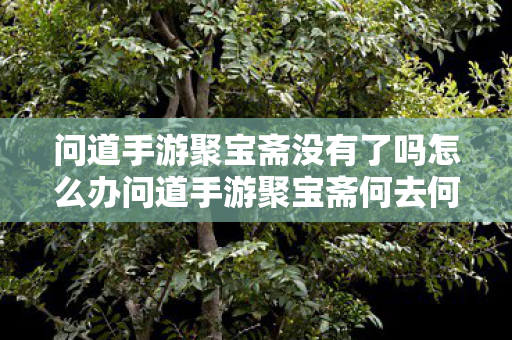 问道手游聚宝斋没有了吗怎么办问道手游聚宝斋何去何从,问道手游聚宝斋关闭与替代方案,玩家何去何从? 问道手游聚宝斋没有了吗怎么办问道手游聚宝斋何去何从,问道手游聚宝斋关闭与替代方案,玩家何去何从?