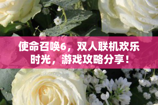 使命召唤6，双人联机欢乐时光，游戏攻略分享！