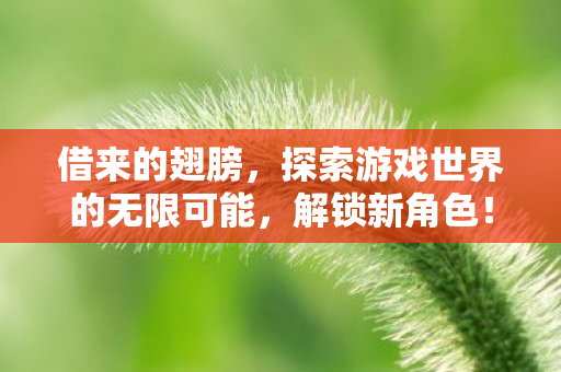 借来的翅膀，探索游戏世界的无限可能，解锁新角色！