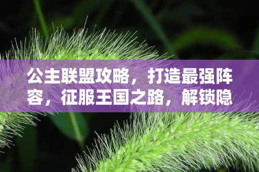 公主联盟攻略，打造最强阵容，征服王国之路，解锁隐藏角色