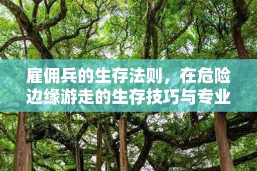 雇佣兵的生存法则，在危险边缘游走的生存技巧与专业战士