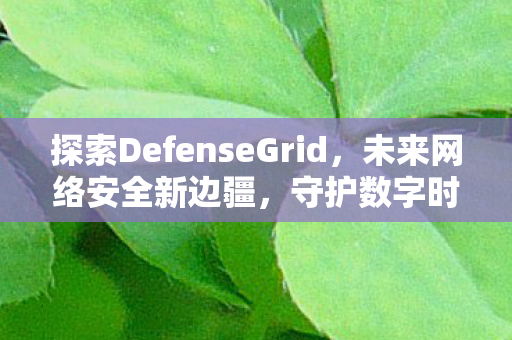 探索DefenseGrid,未来网络安全新边疆,守护数字时代安全 探索DefenseGrid,未来网络安全新边疆,守护数字时代安全