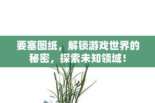要塞图纸，解锁游戏世界的秘密，探索未知领域！