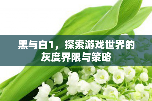 黑与白1,探索游戏世界的灰度界限与策略 黑与白1,探索游戏世界的灰度界限与策略