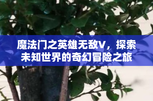 探索未知世界的奇幻冒险之旅图片