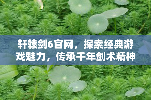 轩辕剑6官网，探索经典游戏魅力，传承千年剑术精神