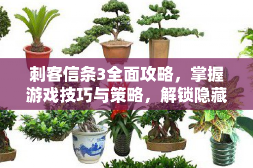 刺客信条3全面攻略，掌握游戏技巧与策略，解锁隐藏任务！