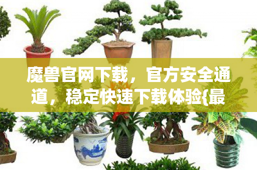 魔兽官网下载，官方安全通道，稳定快速下载体验{最新版}