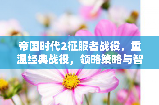 帝国时代2征服者战役,重温经典战役,领略策略与智慧的碰撞,解锁战役新挑战! 帝国时代2征服者战役,重温经典战役,领略策略与智慧的碰撞,解锁战役新挑战!