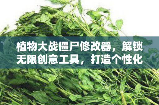 植物大战僵尸修改器图片