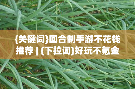 {关键词}回合制手游不花钱推荐 | {下拉词}好玩不氪金