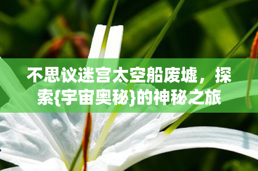 不思议迷宫太空船废墟，探索{宇宙奥秘}的神秘之旅