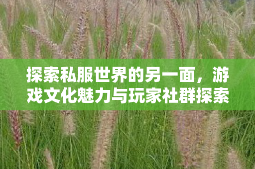 游戏文化魅力与玩家社群探索图片