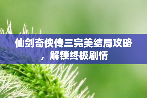 仙剑奇侠传三完美结局攻略图片