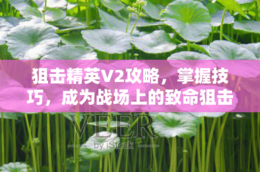 狙击精英V2攻略，掌握技巧，成为战场上的致命狙击手