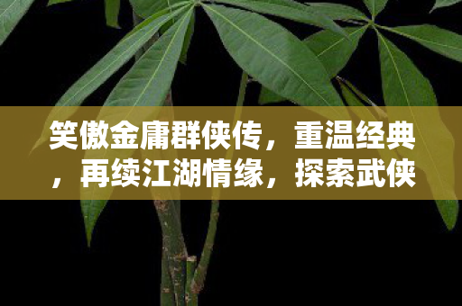 笑傲金庸群侠传,重温经典,再续江湖情缘,探索武侠世界 笑傲金庸群侠传,重温经典,再续江湖情缘,探索武侠世界