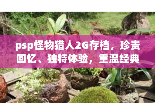 psp怪物猎人2G存档，珍贵回忆、独特体验，重温经典游戏时刻！