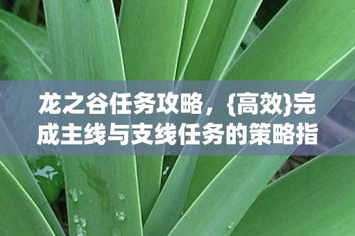龙之谷任务攻略,{高效}完成主线与支线任务的策略指南 龙之谷任务攻略,{高效}完成主线与支线任务的策略指南