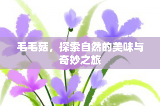 毛毛菇，探索自然的美味与奇妙之旅