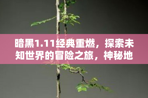 暗黑1.11经典重燃，探索未知世界的冒险之旅，神秘地下城揭秘