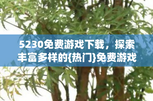 5230免费游戏下载，探索丰富多样的{热门}免费游戏资源