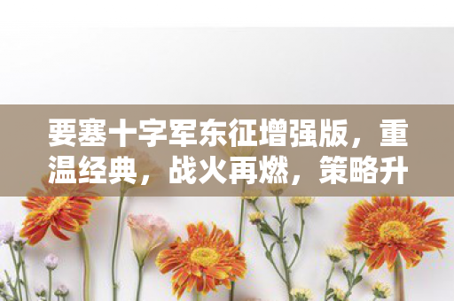 要塞十字军东征增强版图片