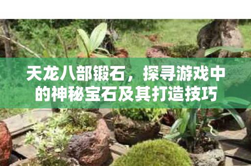 天龙八部锻石,探寻游戏中的神秘宝石及其打造技巧 天龙八部锻石,探寻游戏中的神秘宝石及其打造技巧