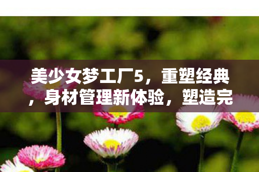 美少女梦工厂5,重塑经典,身材管理新体验,塑造完美曲线! 美少女梦工厂5,重塑经典,身材管理新体验,塑造完美曲线!