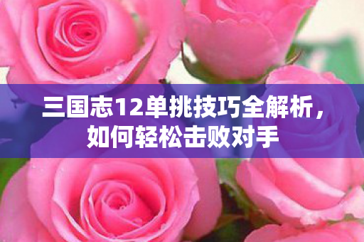 三国志12单挑技巧全解析,如何轻松击败对手 三国志12单挑技巧全解析,如何轻松击败对手