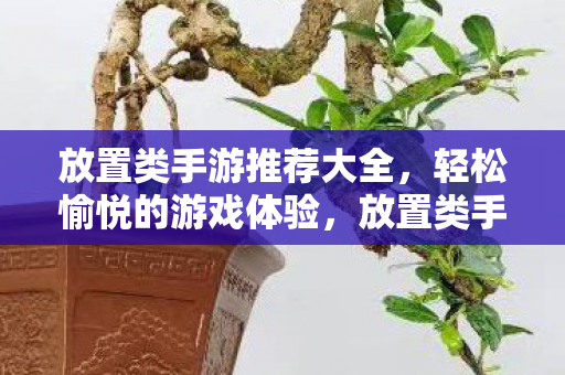 放置类手游推荐大全，轻松愉悦的游戏体验，放置类手游推荐，轻松愉悦的游戏盛宴